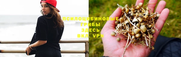 2c-b Алексеевка