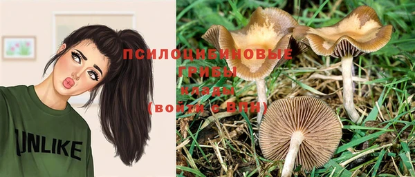 крисы Алзамай