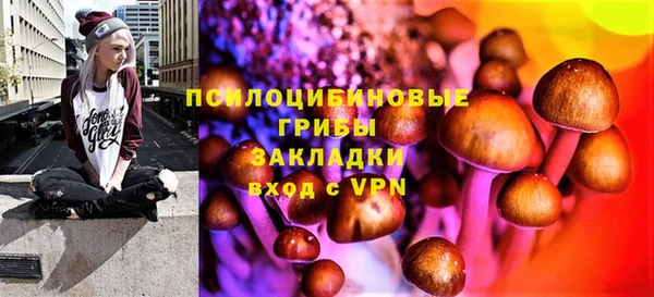 мдпв Абинск