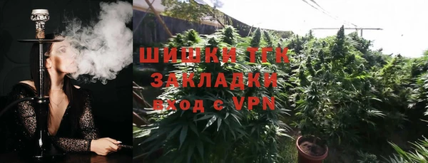 СК Алексин