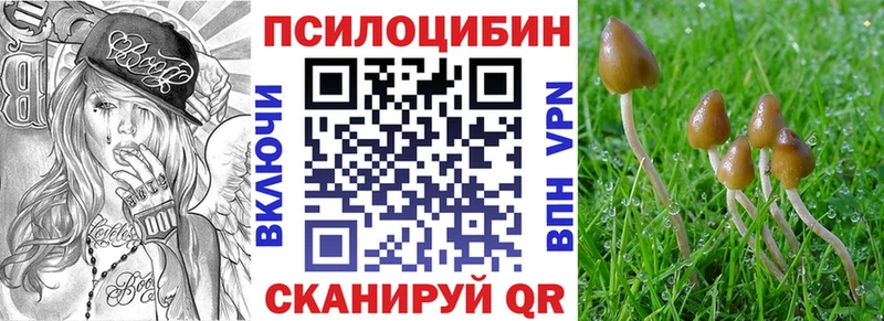 blacksprut ССЫЛКА  Чапаевск  Галлюциногенные грибы MAGIC MUSHROOMS 